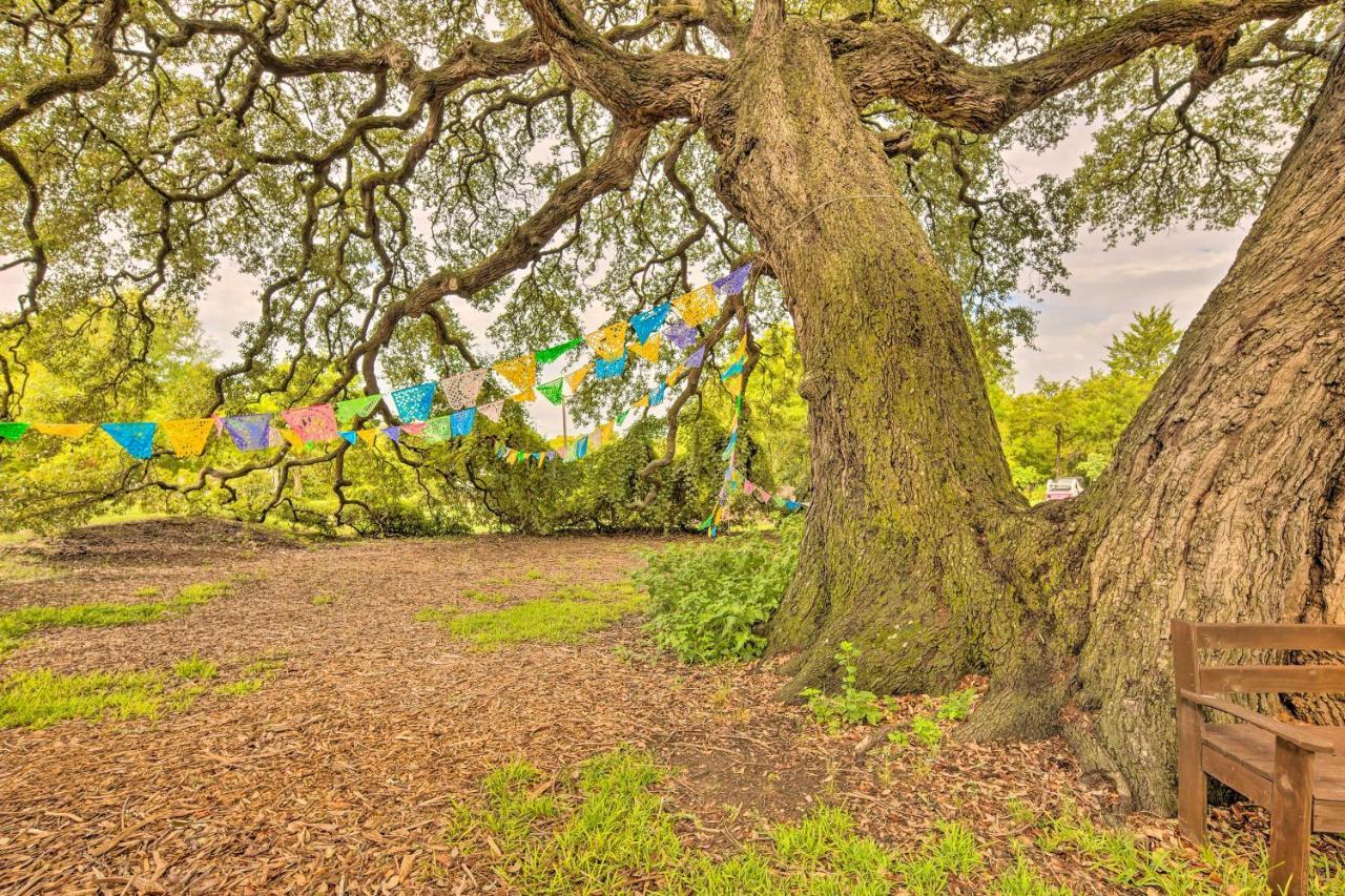 The Gathering Place Brenham Home On 6 Acres Kültér fotó